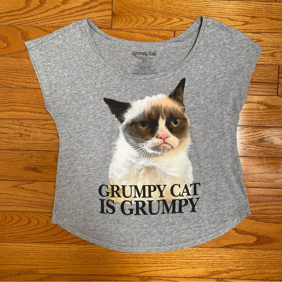 Grumpy Cat T-Shirt Grey - Picture 5 of 5